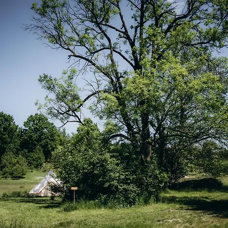 Lüks kamp alanı Glamping U Lesa