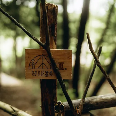 Lüks kamp alanı Glamping U Lesa Rychnov nad Kneznou